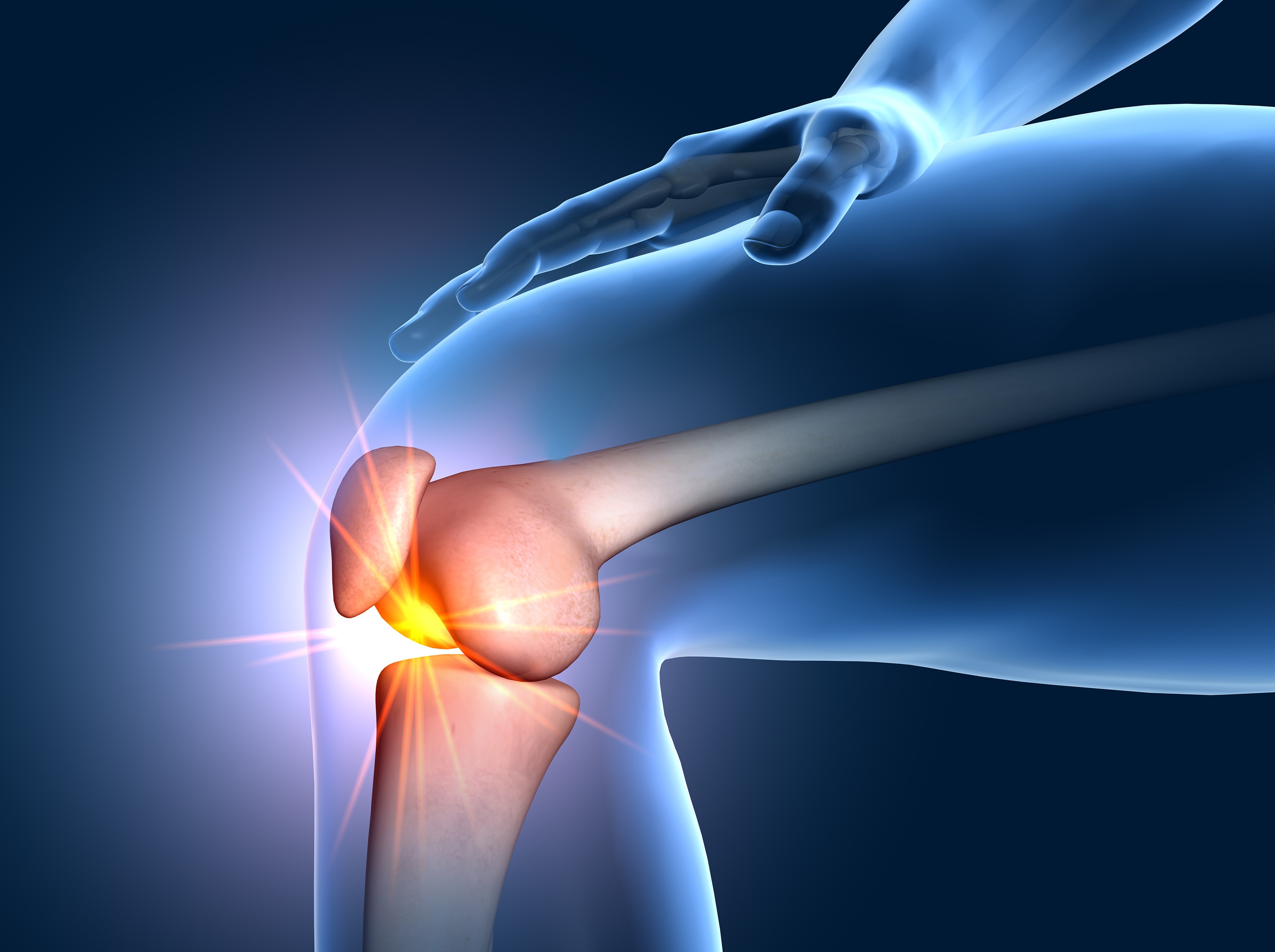 Knie